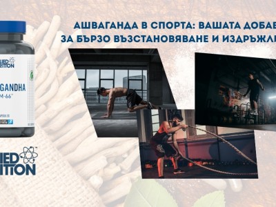 Ашваганда в спорта: Вашата задължителна добавка за бързо възстановяване и издръжливост Ашваганда в спорта: Вашата задължителна добавка за бързо възстановяване и издръжливост