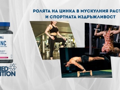 Ролята на цинка в мускулния растеж и спортната издръжливост Ролята на цинка в мускулния растеж и спортната издръжливост